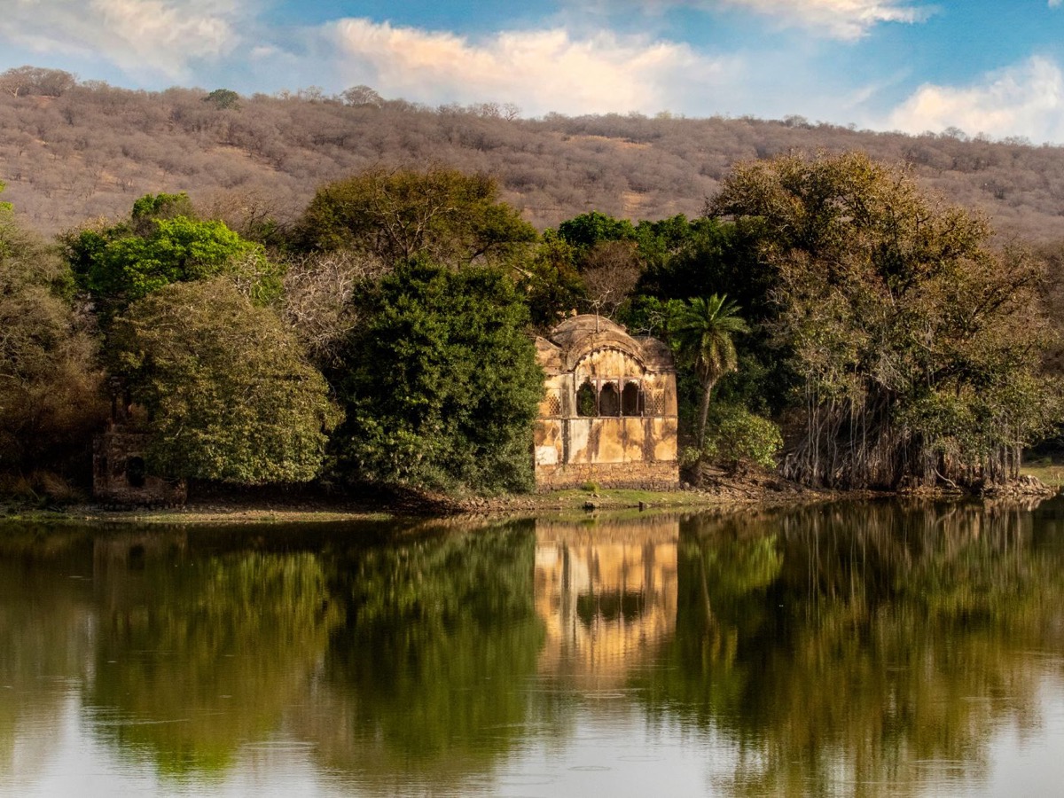 Safari lodge, Ranthambore