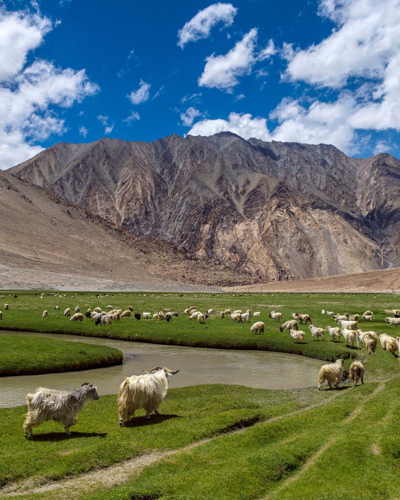 Mountains & Himalayas